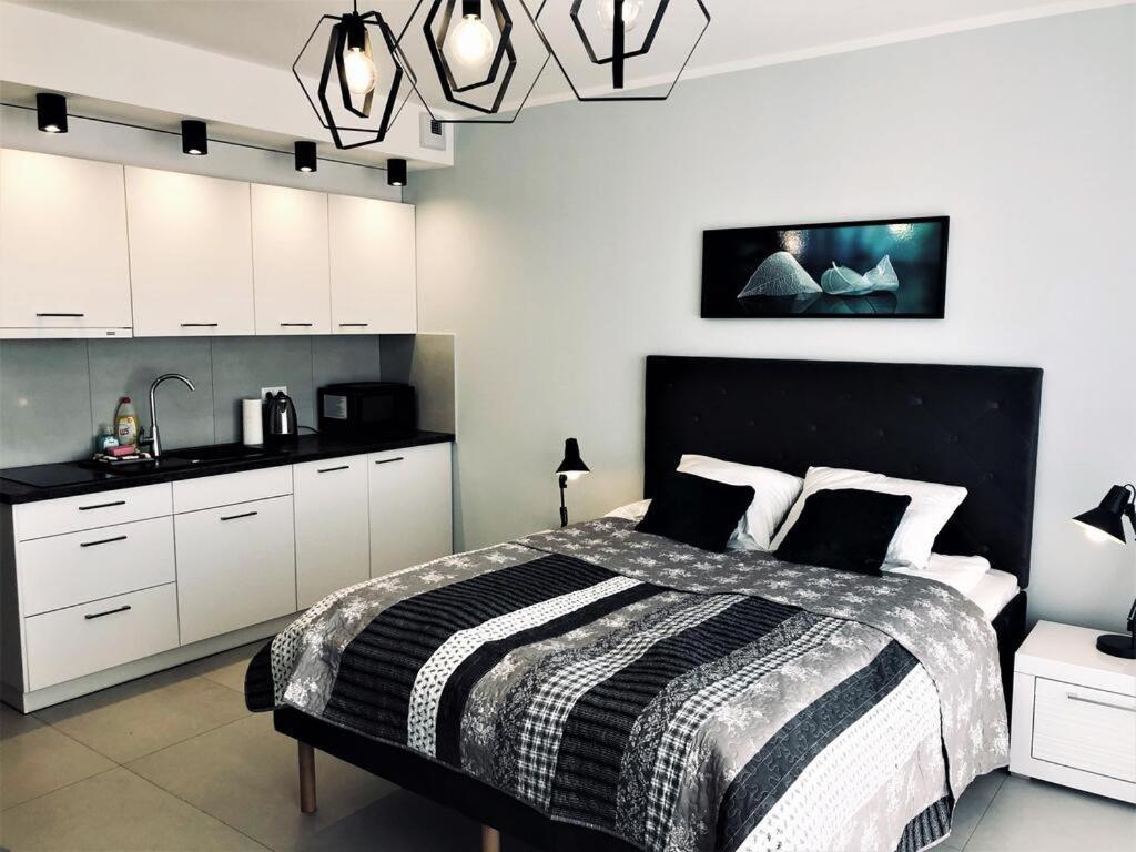Wave Premium Kolberg